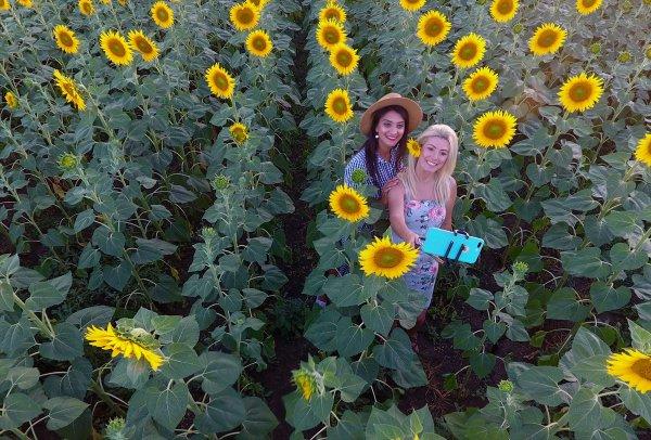 Edirne'de fotoğraf tutkunları tarlalara koşuyor