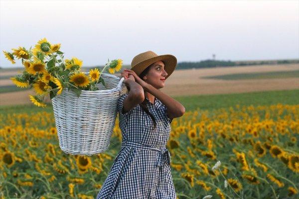 Edirne'de fotoğraf tutkunları tarlalara koşuyor