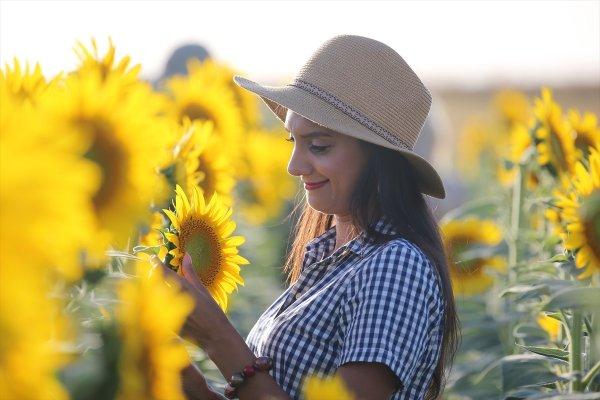 Edirne'de fotoğraf tutkunları tarlalara koşuyor