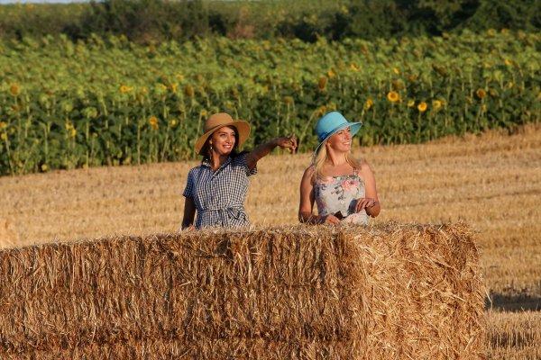 Edirne'de fotoğraf tutkunları tarlalara koşuyor