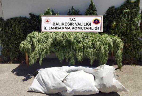 Balıkesir’de 23 kilo esrar ele geçirdi
