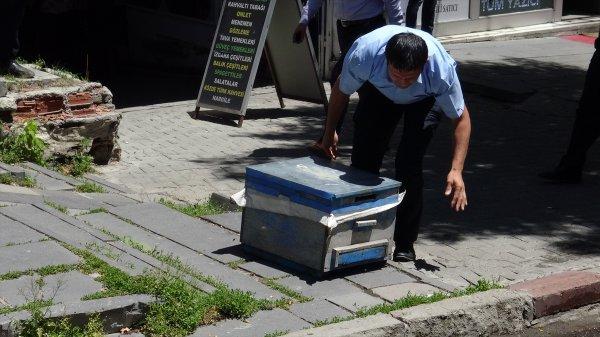 Kars'ta arı kolonisi firar etti