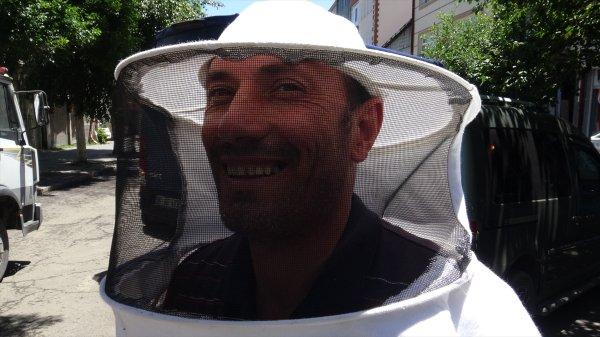 Kars'ta arı kolonisi firar etti