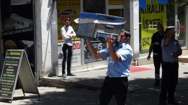 Kars'ta arı kolonisi firar etti