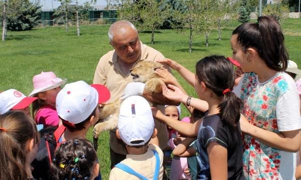 Kayseri'de yavru aslanı, bakıcılar besliyor