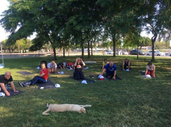 Kartal Belediyesi'nden spor etkinliği