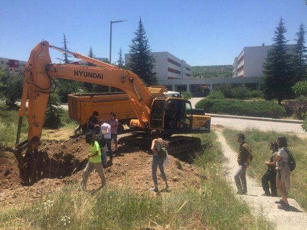 ODTÜ'de ağaç kesimi durduruldu