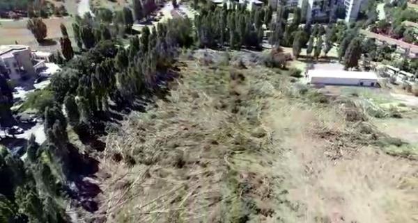 ODTÜ'de ağaçların kesildiği alanın havadan görüntüsü