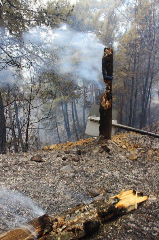 Dalaman'daki yangının boyutu gün ağarınca ortaya çıktı