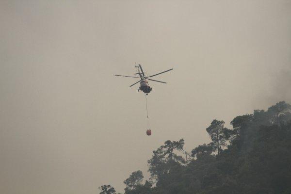 Dalaman'daki yangının boyutu gün ağarınca ortaya çıktı