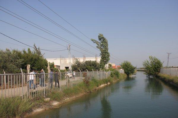 Ağaç budamak isterken canından oldu