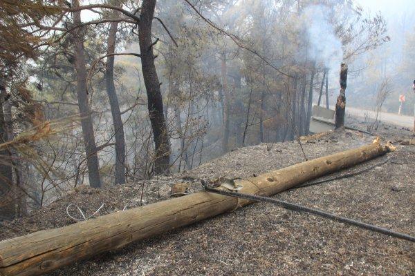 Dalaman'daki yangının boyutu gün ağarınca ortaya çıktı