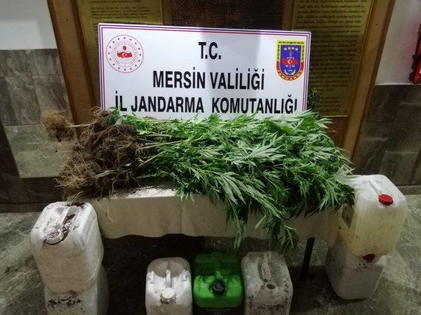 Mersin'de 40 kilo esrar yakalandı