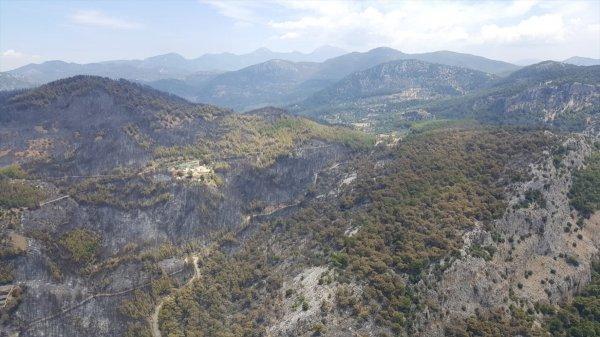 Dalaman'da çıkan yangın söndürüldü
