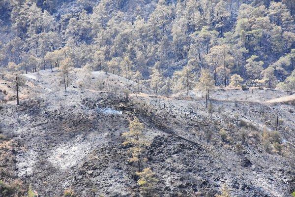 Dalaman'da çıkan yangın söndürüldü
