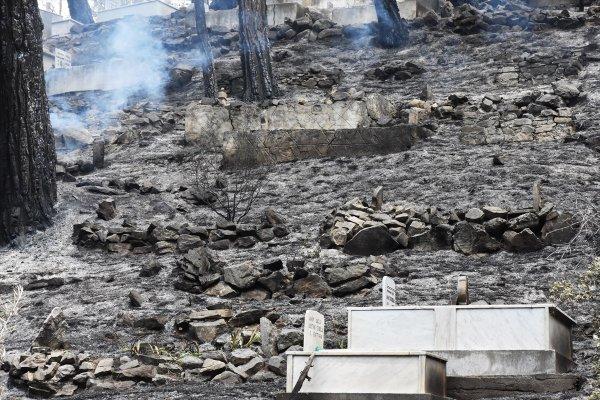 Dalaman'da çıkan yangın söndürüldü