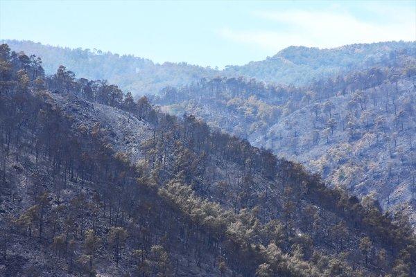 Dalaman'da çıkan yangın söndürüldü