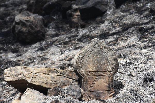 Dalaman'da çıkan yangın söndürüldü