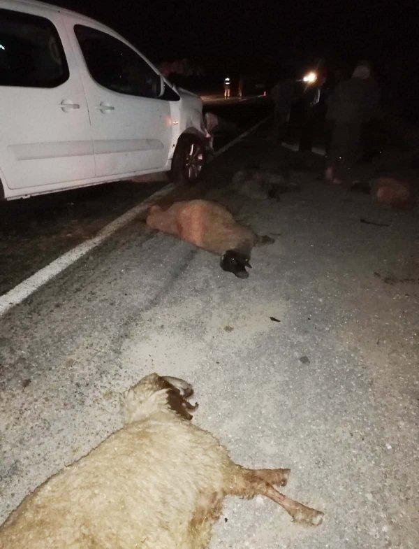 Kamyonet koyunlara çarptı, 25 hayvan telef oldu