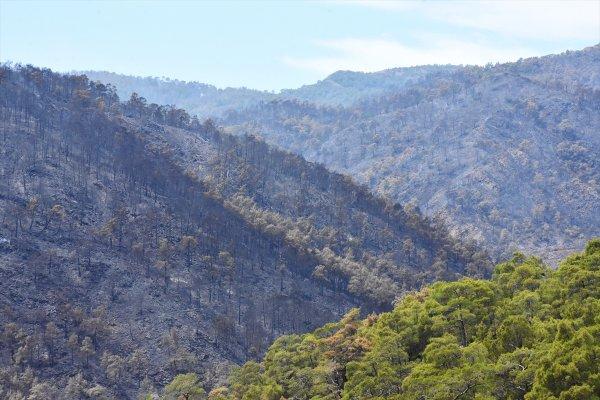 Dalaman'da çıkan yangın söndürüldü