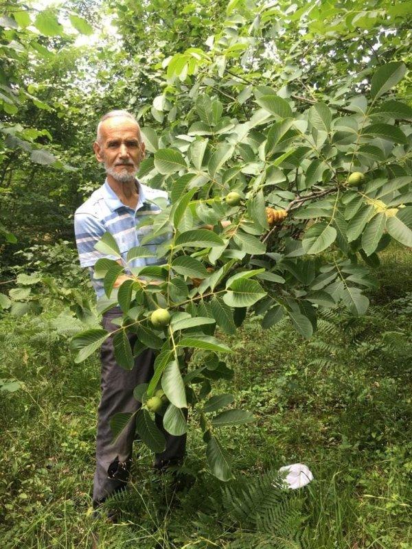 Kardeşini camide namaz kılarken vurarak öldürdü