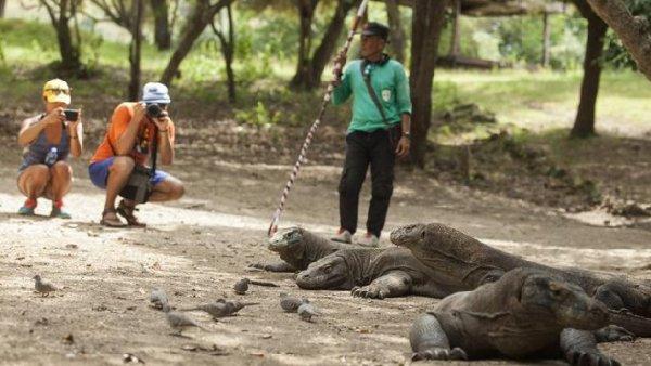 Endonezya, Komodo Adası'nı boşaltıyor