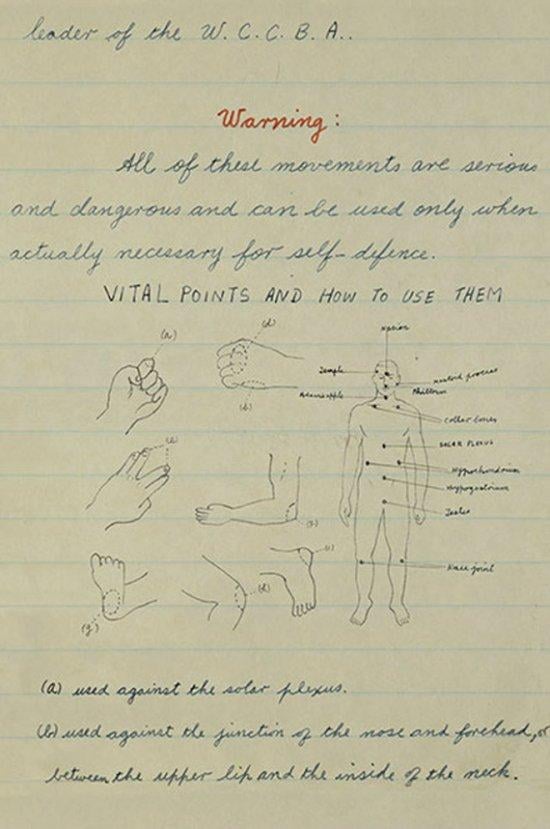 Bruce Lee kimdir? biyografisi