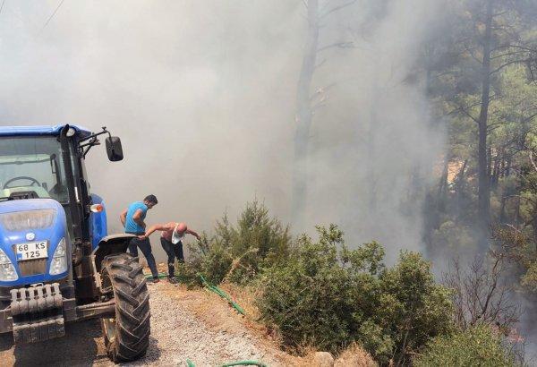 Alev alan araç, orman yangınına neden oluyordu