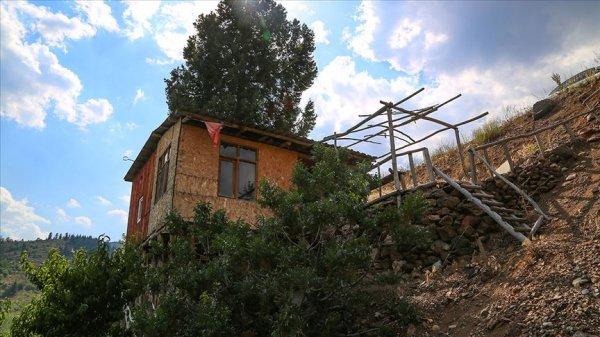 Hayalini kurduğu evi ardıç ağacına yaptı