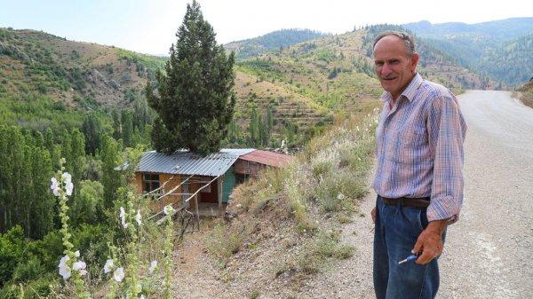 Hayalini kurduğu evi ardıç ağacına yaptı