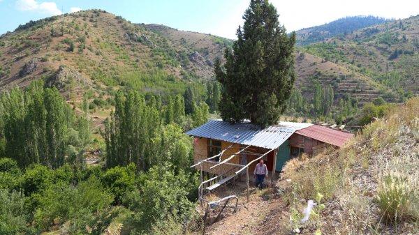 Hayalini kurduğu evi ardıç ağacına yaptı