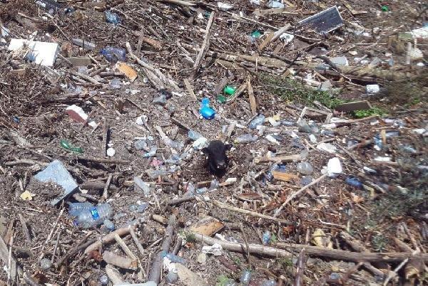 Düzce'deki sel felaketinde 2 cesede ulaşıldı