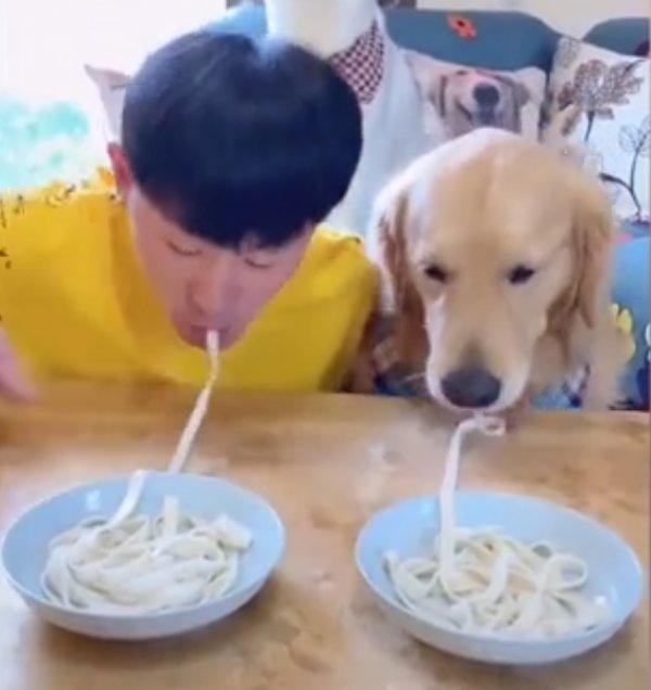 Köpeğiyle erişte yeme yarışı yapan adam