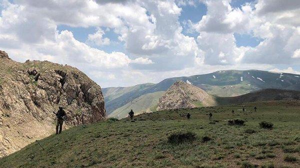 Van'da biri gri kategoride 2 terörist teslim oldu