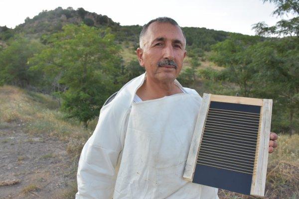 Arı zehrinin kilosu 500 bin lira