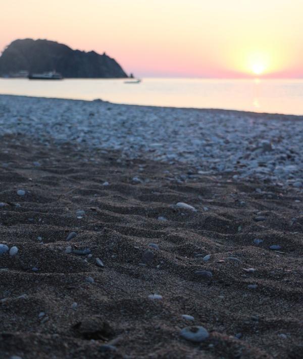 Antalya'da caretta carettaların zorlu yolculuğu başladı