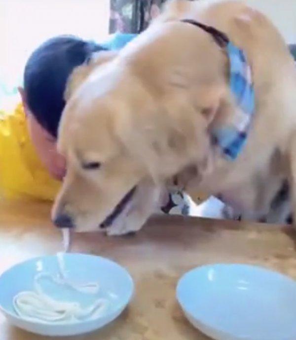 Köpeğiyle erişte yeme yarışı yapan adam