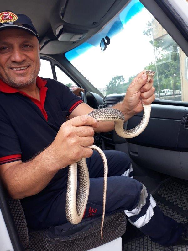 Çorum'da bir evin kombisinden yılan çıktı