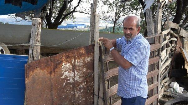 Kırıkkale'de hırsızlar 40 kurbanlık koç çaldı