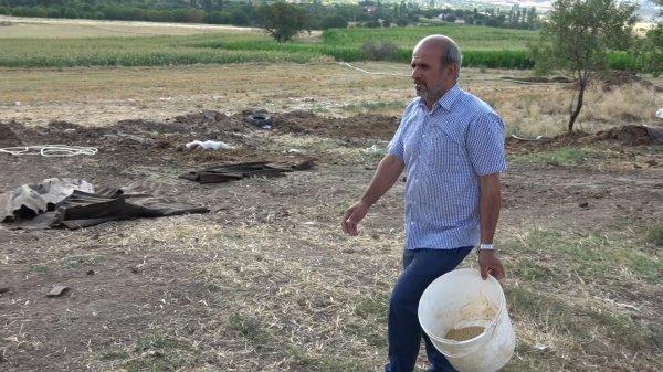 Kırıkkale'de hırsızlar 40 kurbanlık koç çaldı