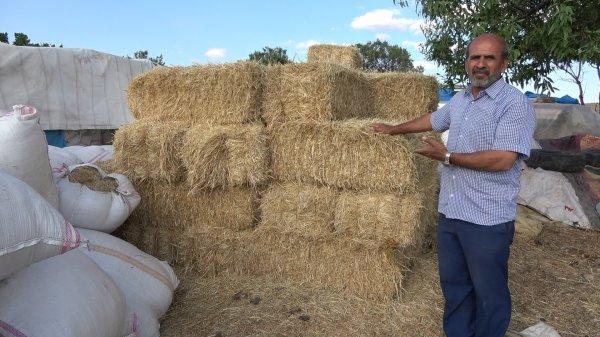 Kırıkkale'de hırsızlar 40 kurbanlık koç çaldı