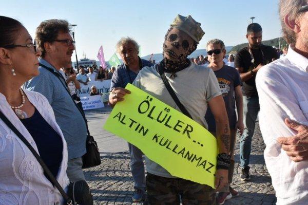 Kaz Dağları'ndaki altın madeni için yapılan ağaç katliamı