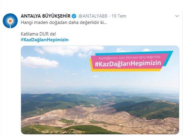 Kaz Dağları'ndaki altın madeni için yapılan ağaç katliamı