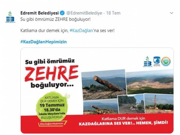 Kaz Dağları'ndaki altın madeni için yapılan ağaç katliamı