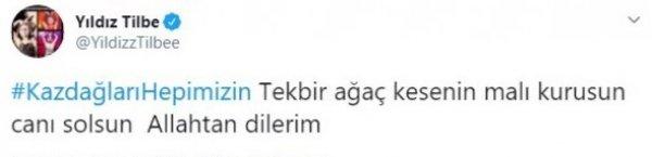 Kaz Dağları'ndaki altın madeni için yapılan ağaç katliamı