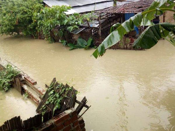 Selin vurduğu Güney Asya’ya yardım