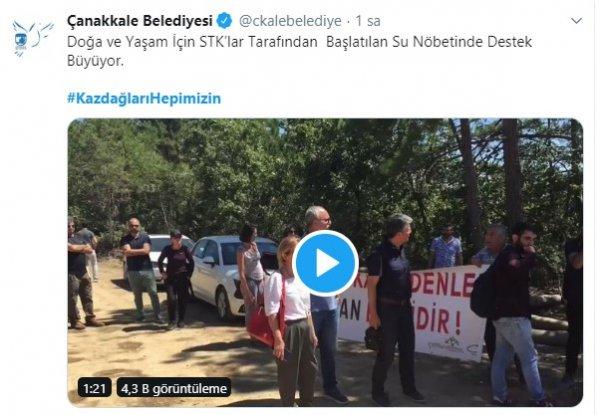 Kaz Dağları'ndaki altın madeni için yapılan ağaç katliamı