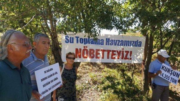 Kaz Dağları'ndaki altın madeni için yapılan ağaç katliamı