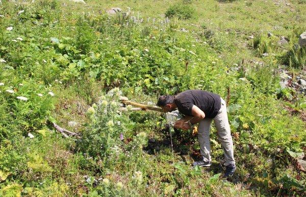 Macahel yaylaları doğaseverleri bekliyor