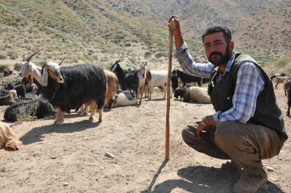 Hakkari'de çoban olan İranlı
